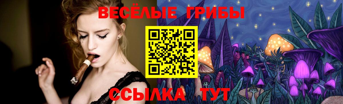 Псилоцибиновые грибы Psilocybe Дубна